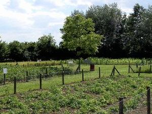 Parc du Sausset Aulnay 1